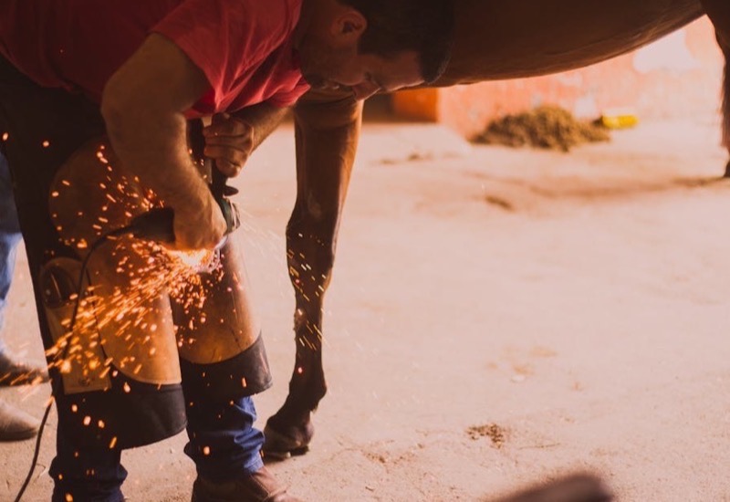 A farrier at work — this is what your compliance baseline should feel like