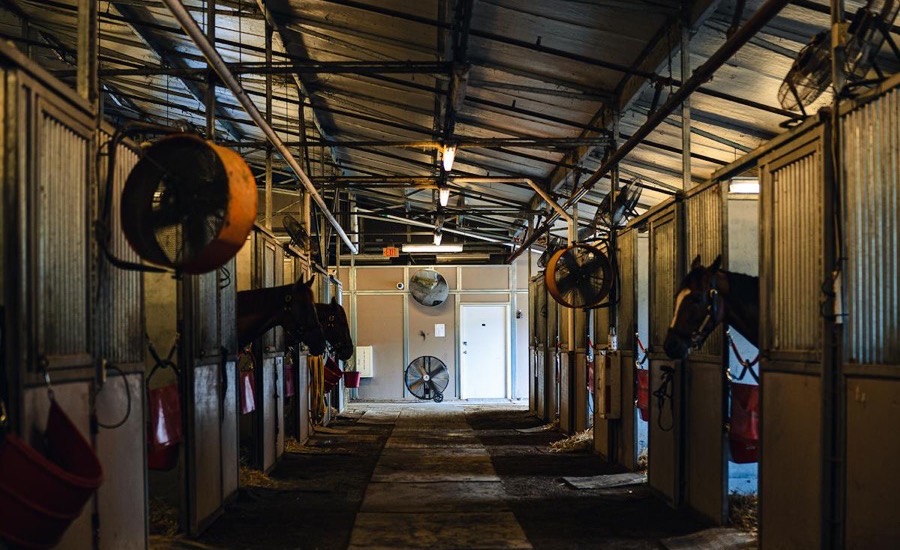 A stable corridor with horses in their stalls — tell me this doesn't look like a data center
