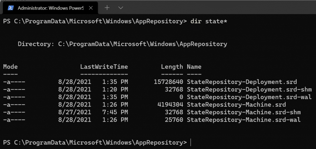 Open Image: StateRepository files on Windows 11